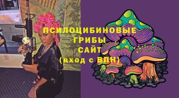 трава Арсеньев