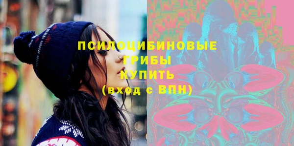 spice Армянск
