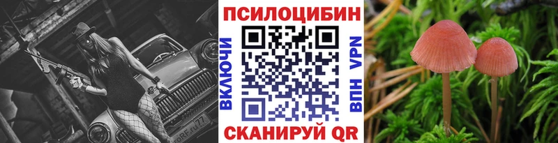 Псилоцибиновые грибы Psilocybine cubensis  Купить где  Нефтекамск 